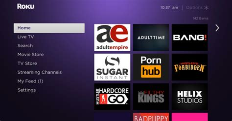 roku tv porn apps|Adult Video Services for Streaming Media Players